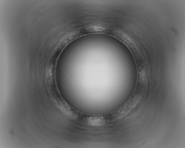 X0000115760373200911131200