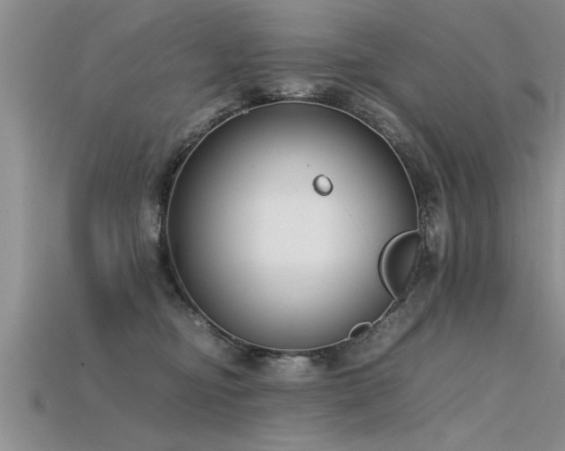 X0000115760374200911131200