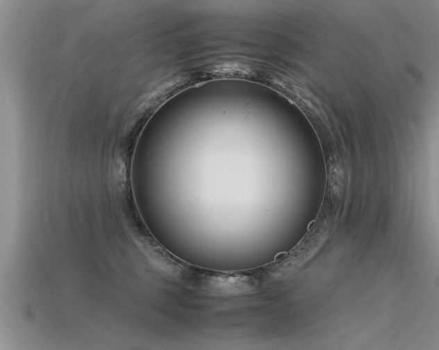 X0000115760375200911131200