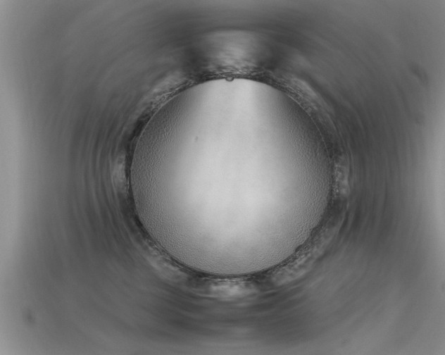 X0000115760377200911131200