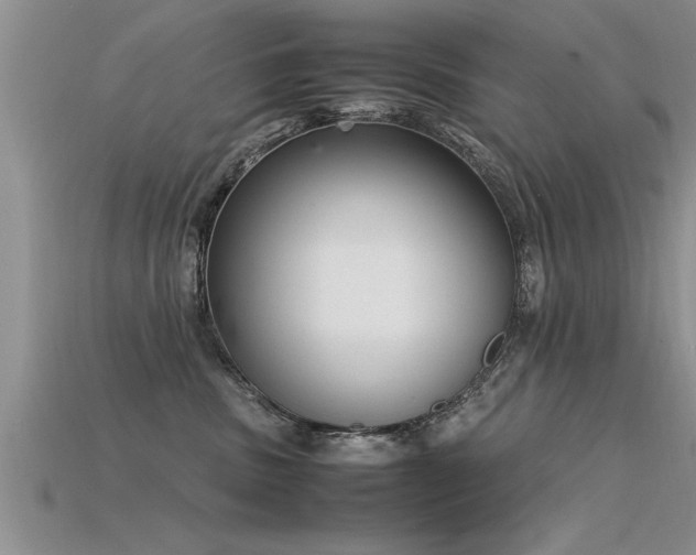 X0000115760379200911131200
