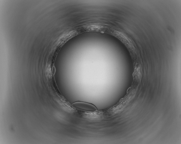 X0000115760381200911131200