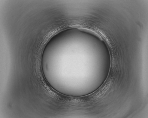 X0000115760385200911131200