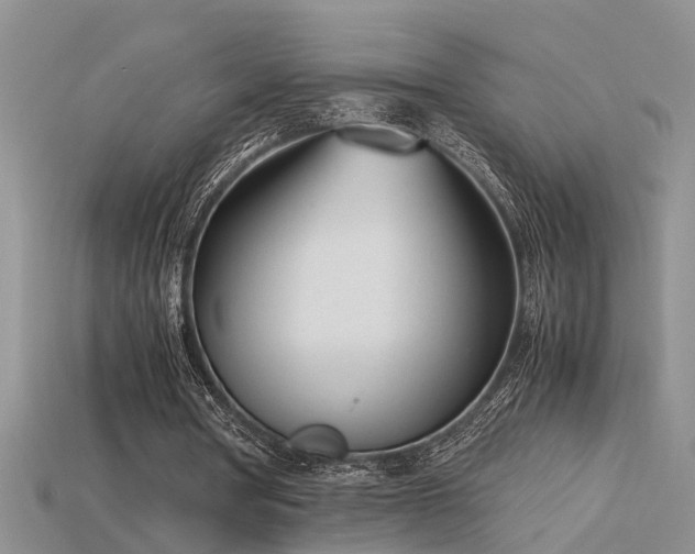 X0000115760386200911131200
