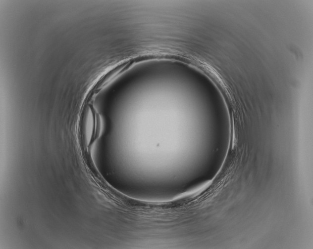 X0000115760387200911131200