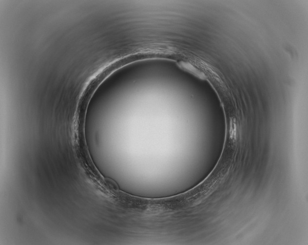 X0000115760388200911131200
