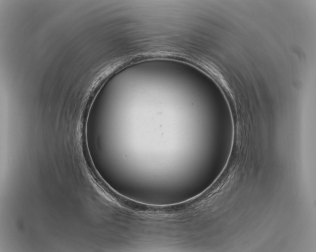 X0000115760389200911131200