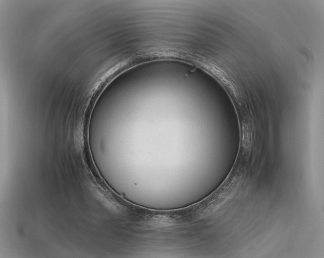 X0000115760390200911131200