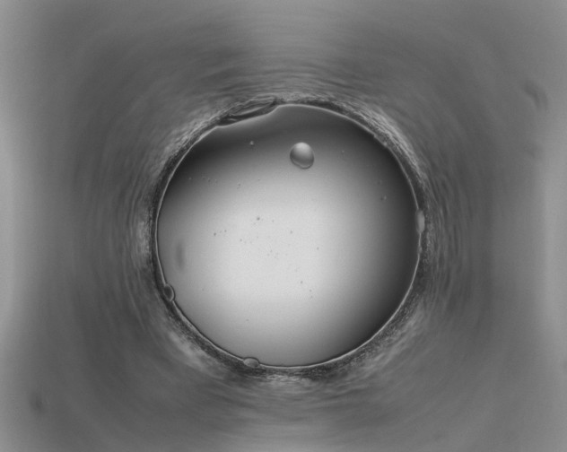 X0000115760393200911131200