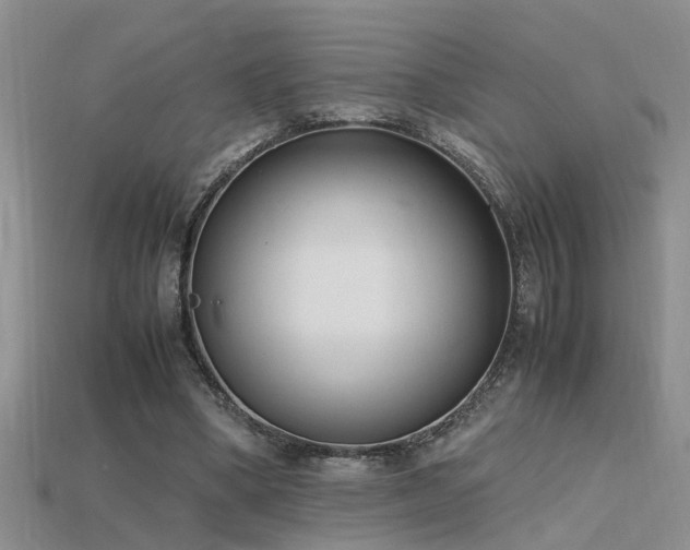 X0000115760394200911131200