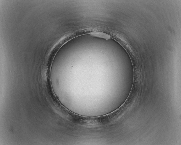X0000115760395200911131200
