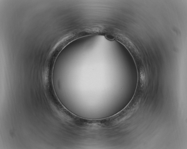 X0000115760396200911131200