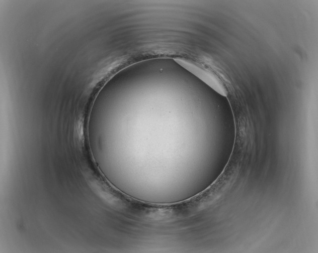X0000115760398200911131200