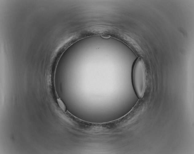 X0000115760399200911131200