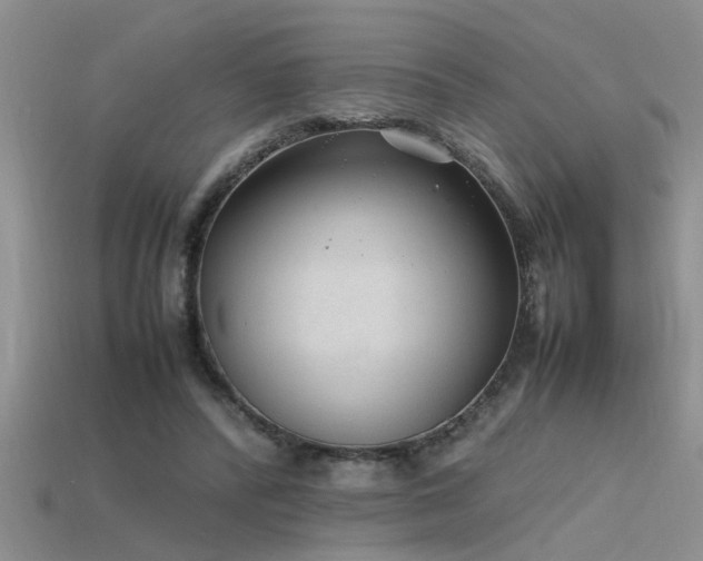 X0000115760400200911131200