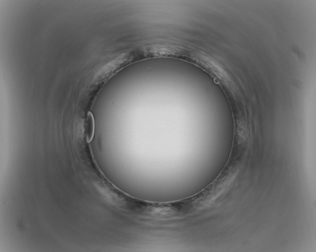 X0000115760401200911131200