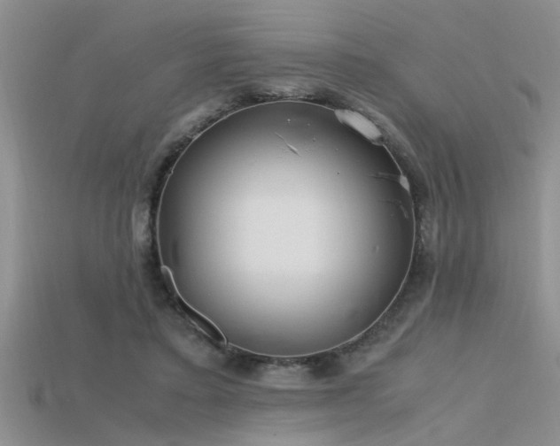 X0000115760403200911131200