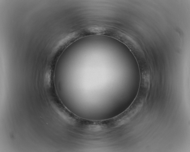 X0000115760404200911131200
