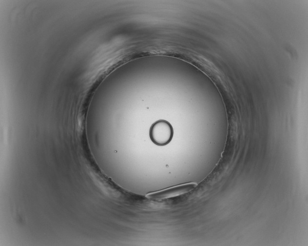 X0000115760405200911131200