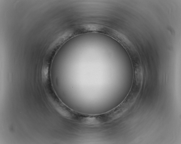 X0000115760406200911131200
