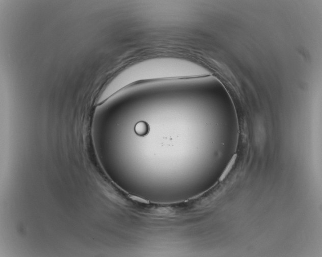 X0000115760409200911131200