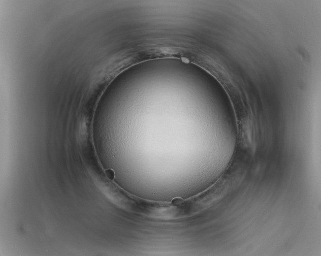 X0000115760410200911131200