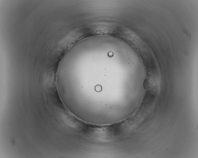 X0000115760411200911131200