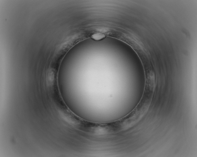 X0000115760412200911131200