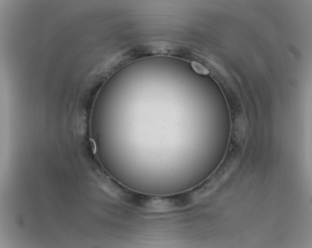 X0000115760413200911131159