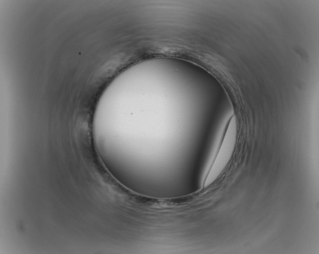 X0000115760415200911131159