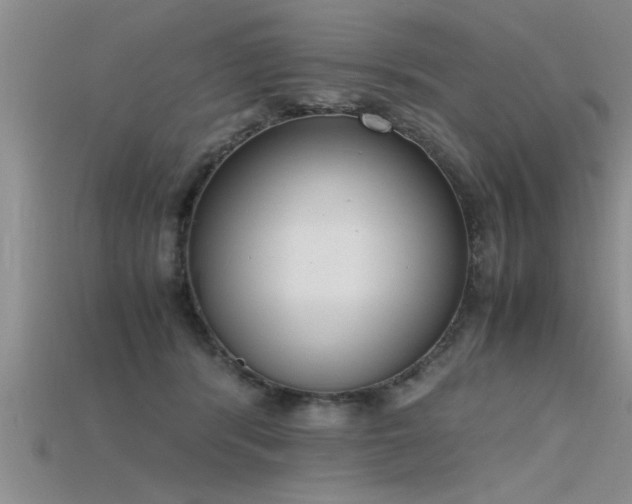 X0000115760416200911131159