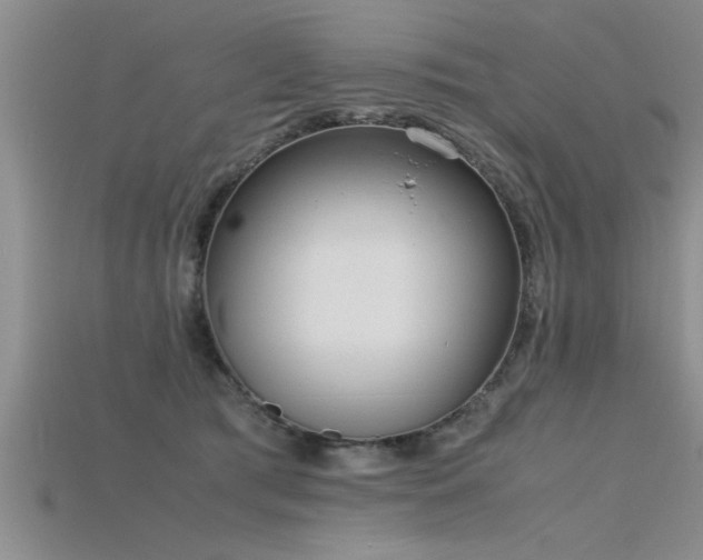 X0000115760417200911131159