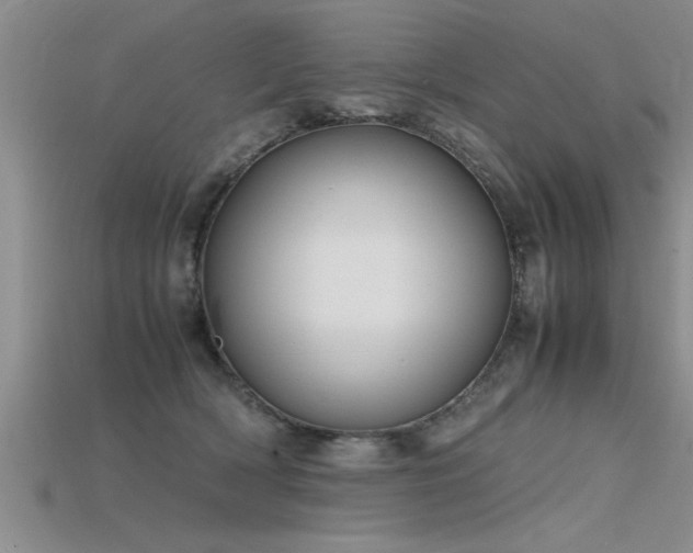 X0000115760418200911131159