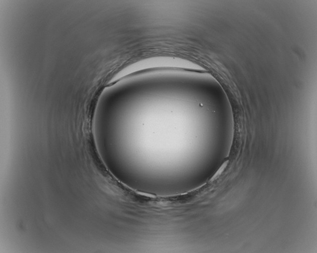 X0000115760419200911131159