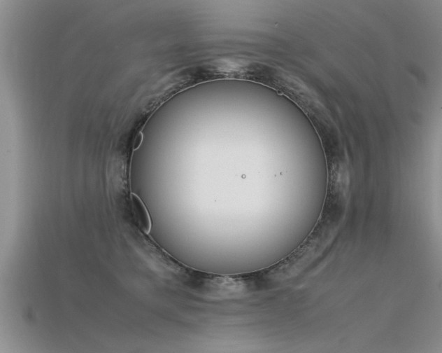 X0000115760421200911131159