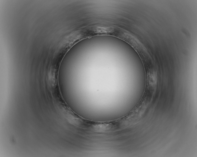 X0000115760422200911131159