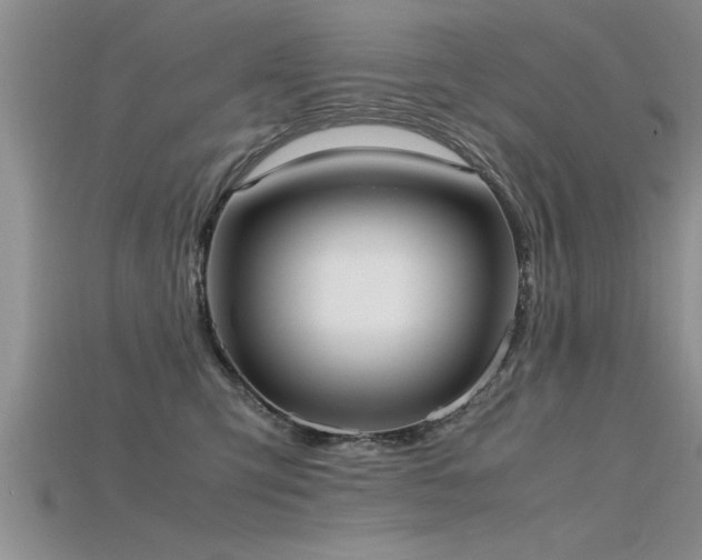 X0000115760423200911131159