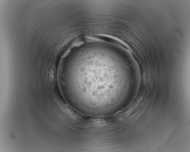 X0000115760424200911131159