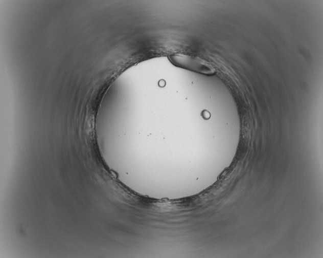 X0000115760425200911131159