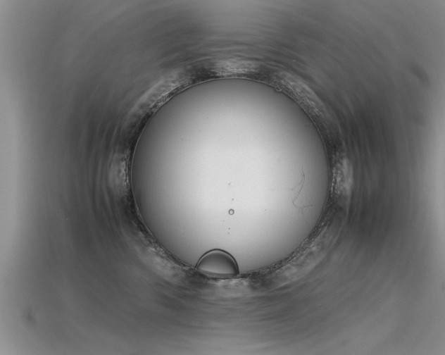 X0000115760426200911131159