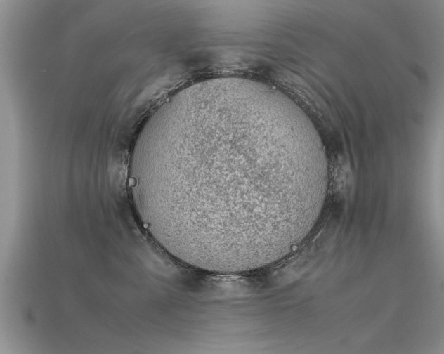 X0000115760427200911131159