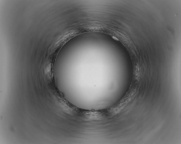 X0000115760428200911131159