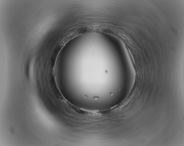 X0000115760429200911131159