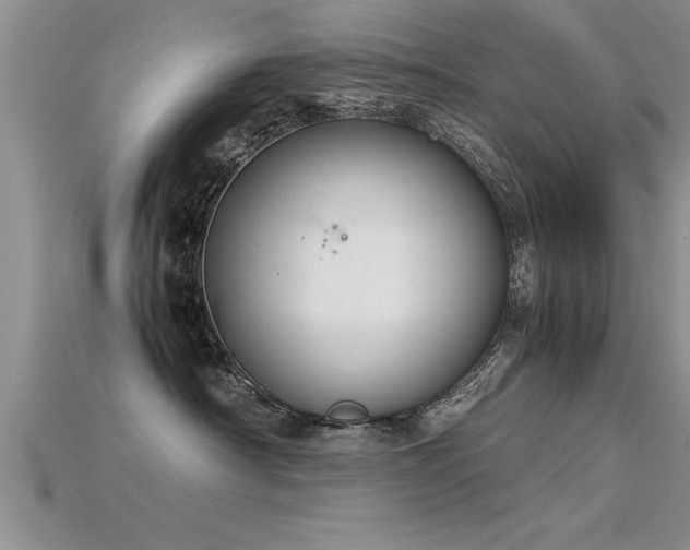 X0000115760430200911131159