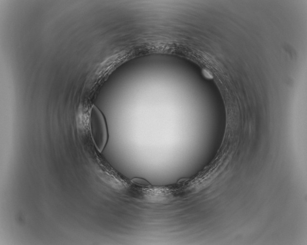 X0000115760432200911131159