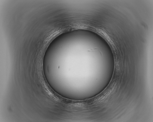 X0000115760433200911131159