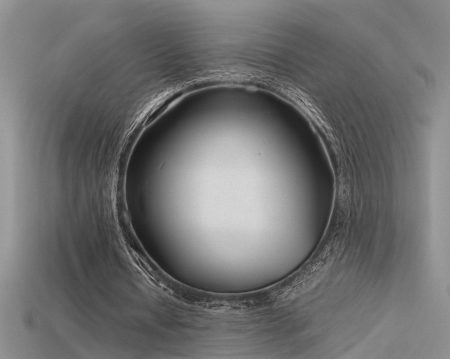 X0000115760434200911131159