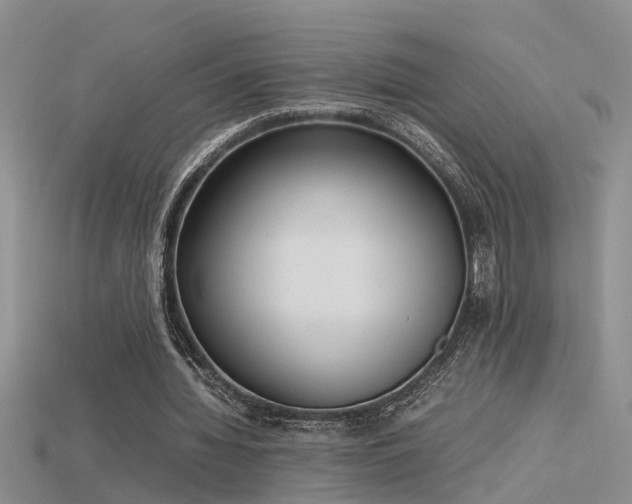 X0000115760436200911131159