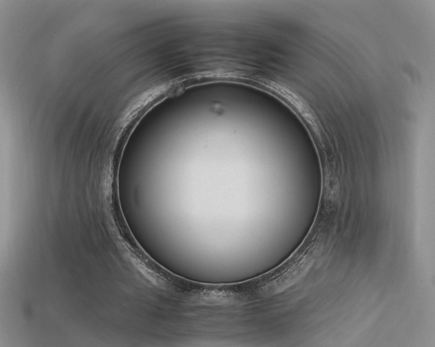 X0000115760437200911131159