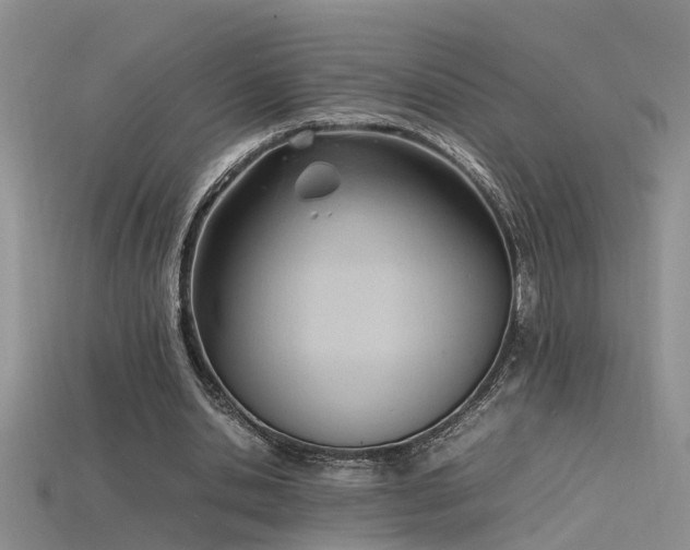 X0000115760438200911131159